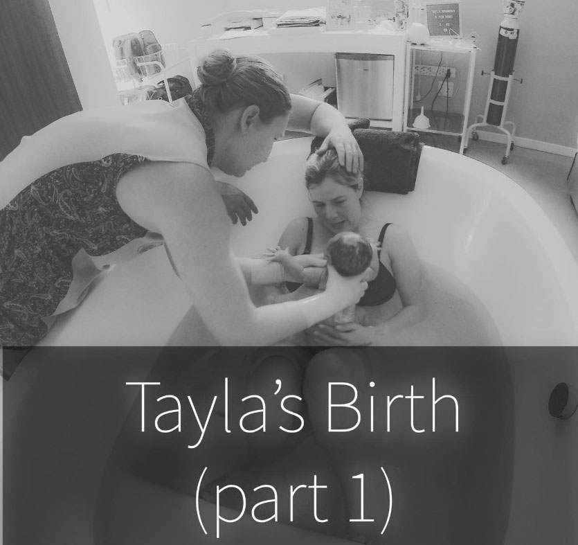 Tayla 1 Tayla 1